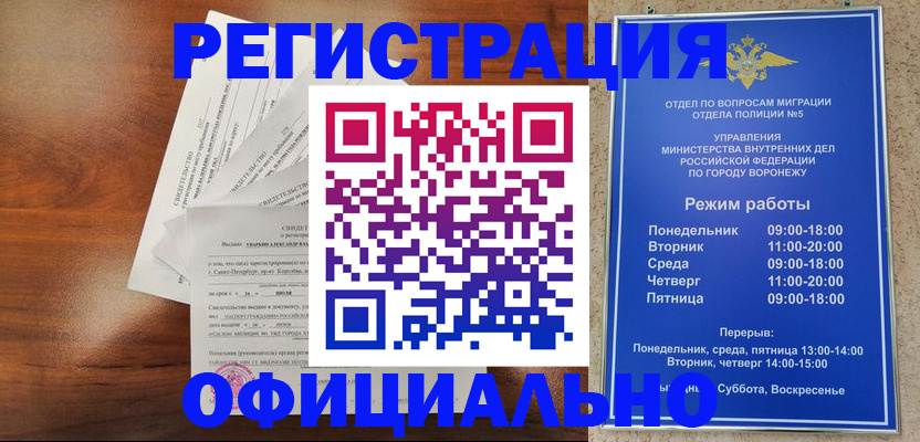 прописка поиск в Бийске